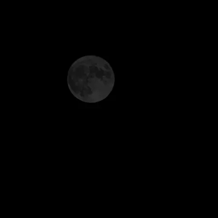 Appartement Moonlight